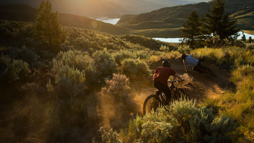 Mountain Bikes