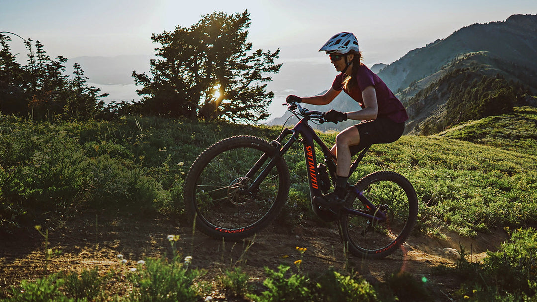 Specialized e-bikes MTB Mountain bike collection
