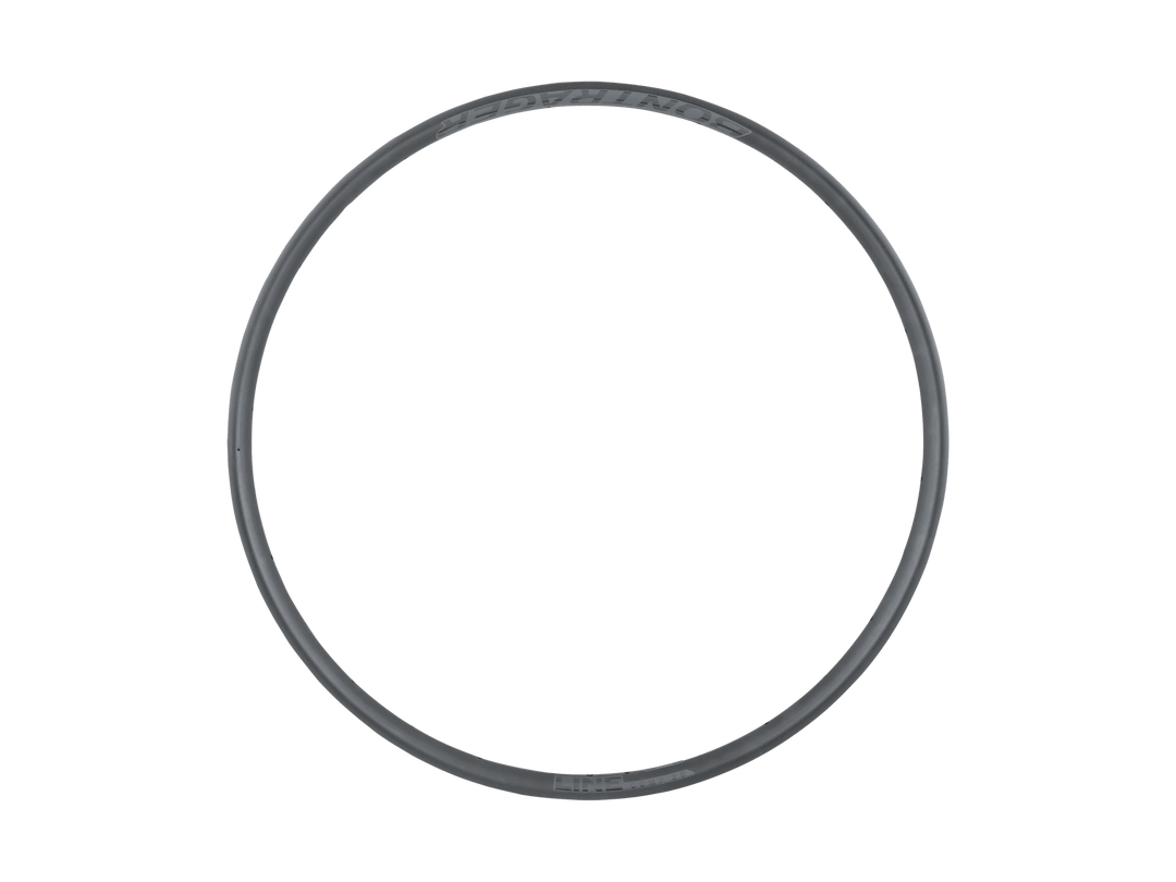 Bontrager Line Comp 30 29" 28H Rim Black