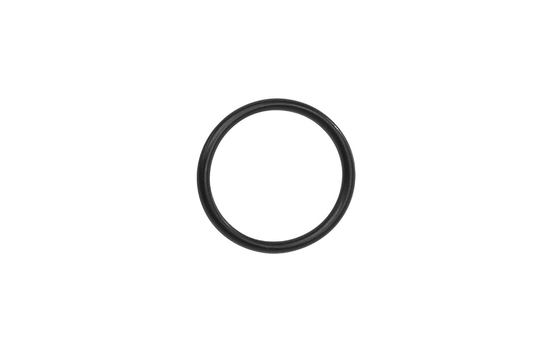 Bosch O-Ring 19 X 1.8 (Gen 3)