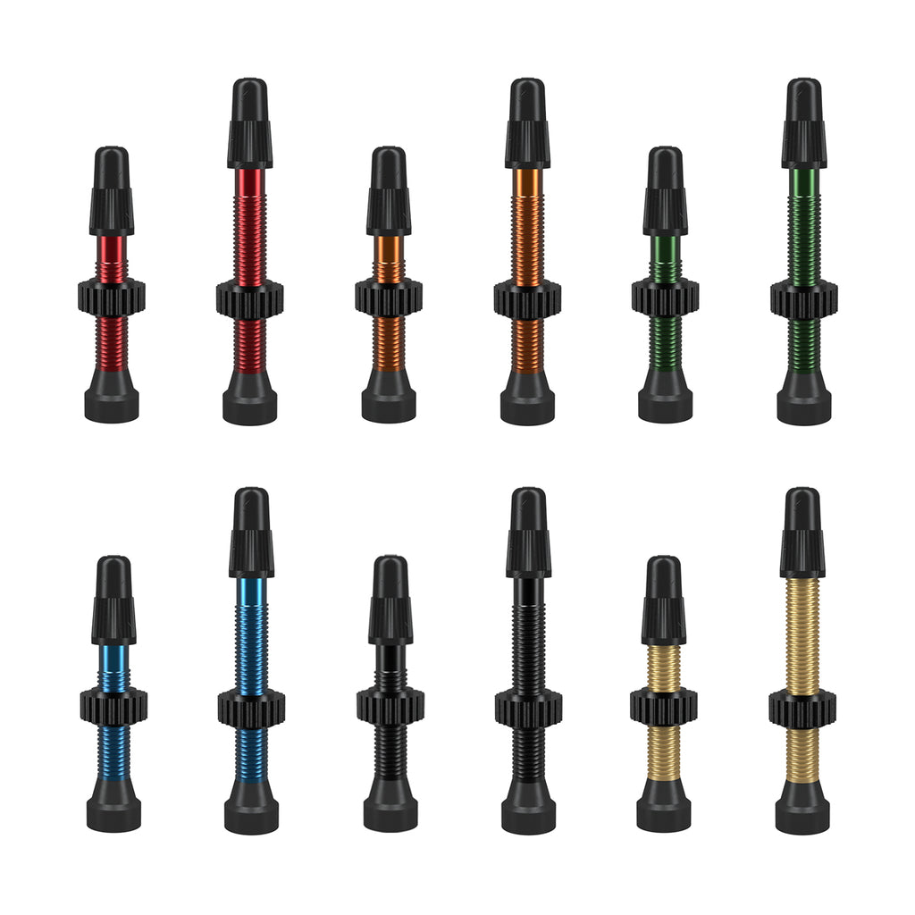 Tubeless Valve Assorted Colours (Each)