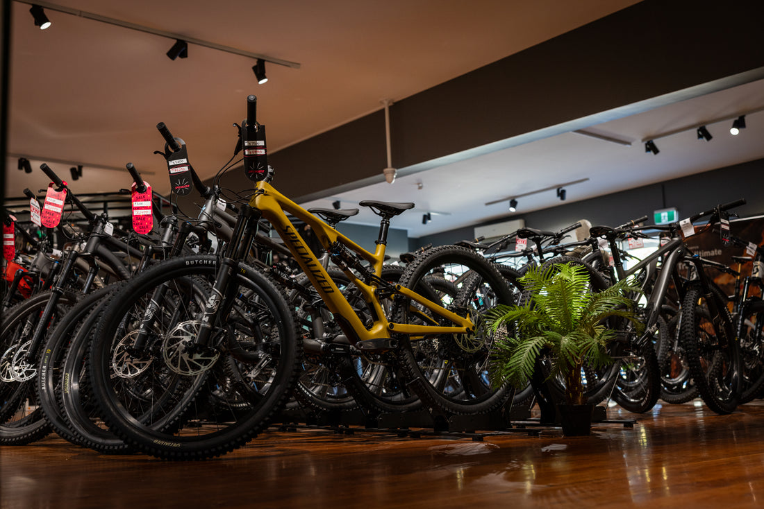 Ready to Dive into Mountain Biking? Let's Find Your Perfect Ride!