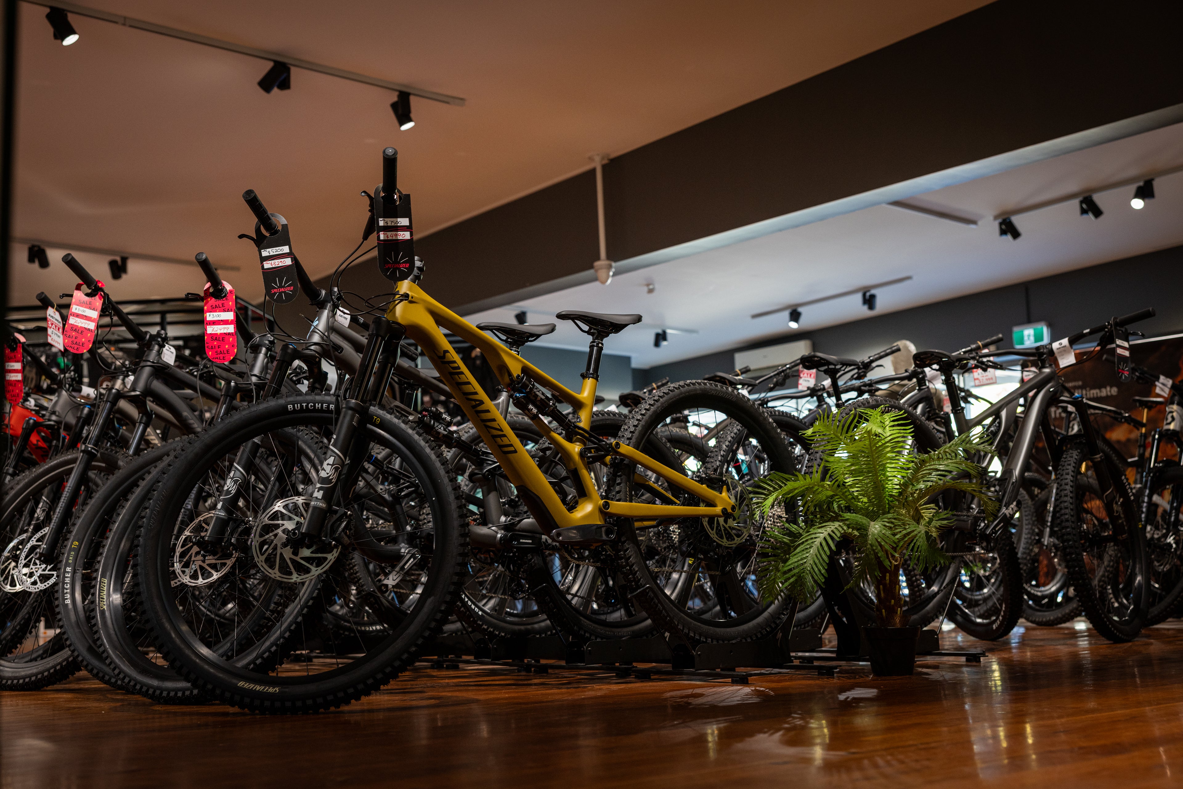 Ready to Dive into Mountain Biking? Let's Find Your Perfect Ride!