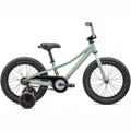 2024 Specialized Riprock Coaster 16"