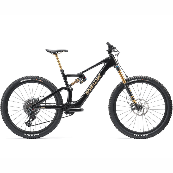 2025 Amflow PL Carbon Pro (800Wh)