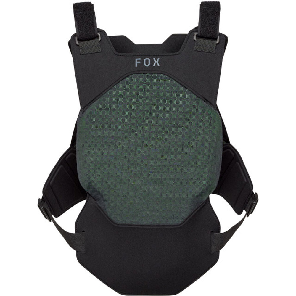 Fox Airframe Back