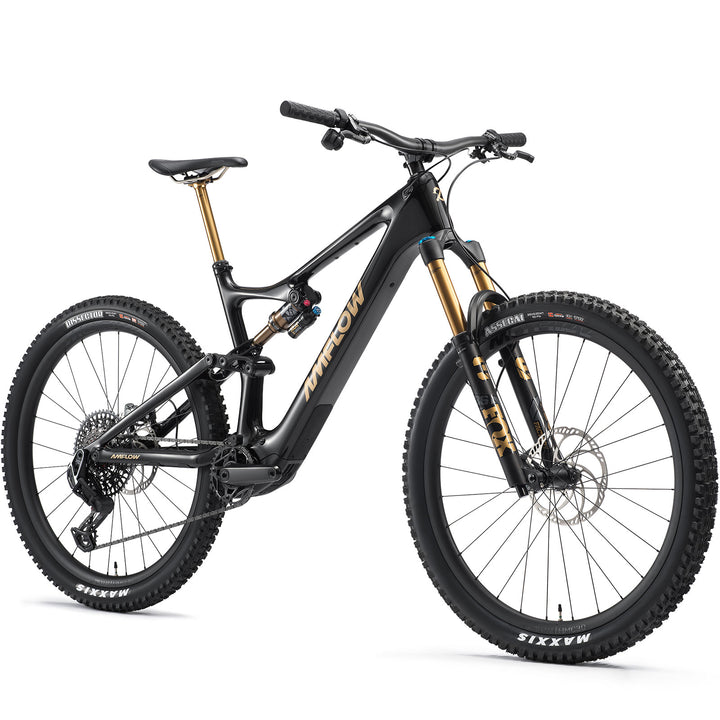 2025 Amflow PL Carbon Pro (800Wh)