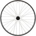 Stans Notubes Flow EX3 29 6 Bolt 15x110mm Boost MTB Front Wheel