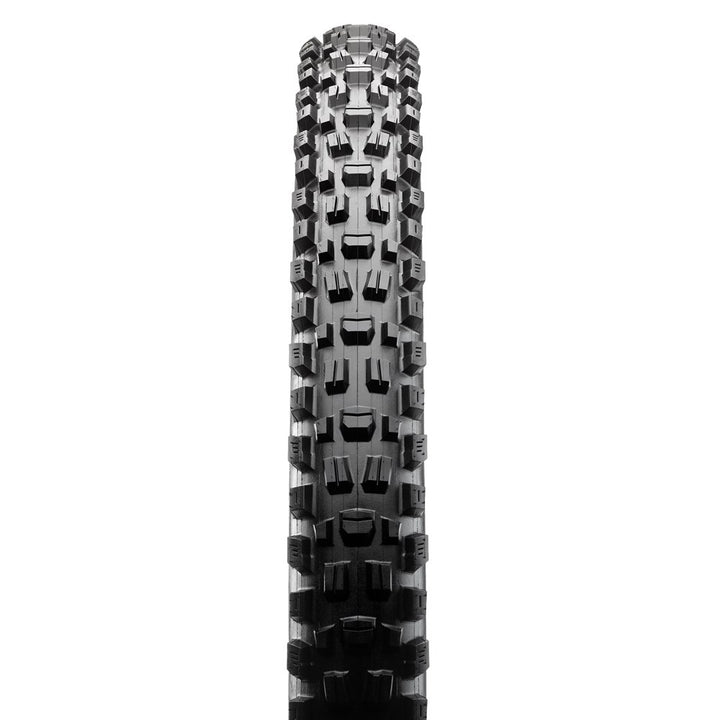 Maxxis Assegai 29" x 2.50WT EXO TR E-25