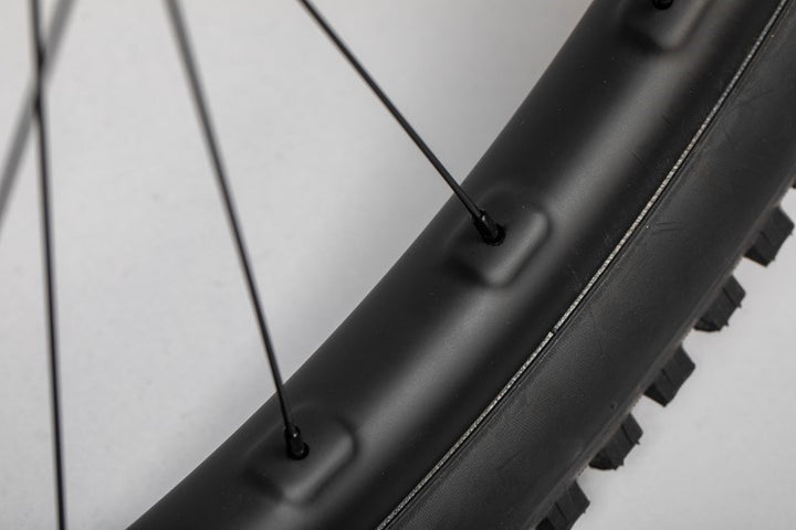 Reserve 30 HD 29er 90T DEG 110x15/ 148x12 WheelSet
