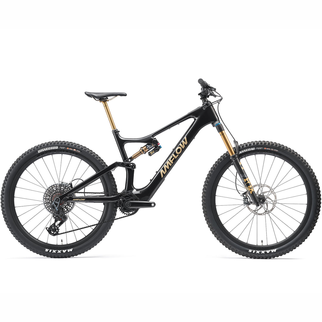 2025 Amflow PL Carbon Pro (600Wh)