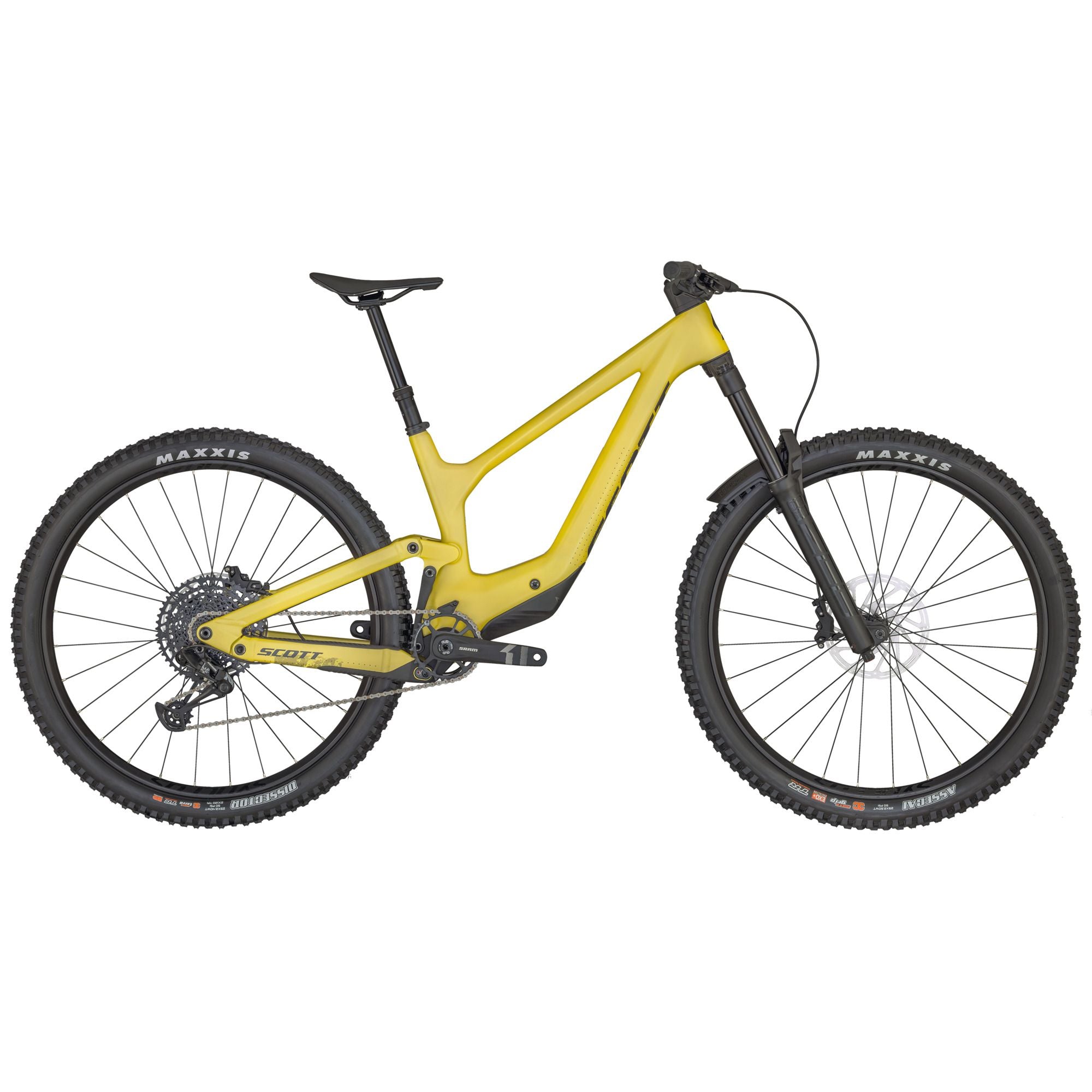 2025 Scott Ransom 920