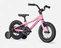 2027 Trek Precaliber