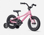 2027 Trek Precaliber