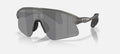 Oakley Stunt Devil Grey Smoke/Prizm Black