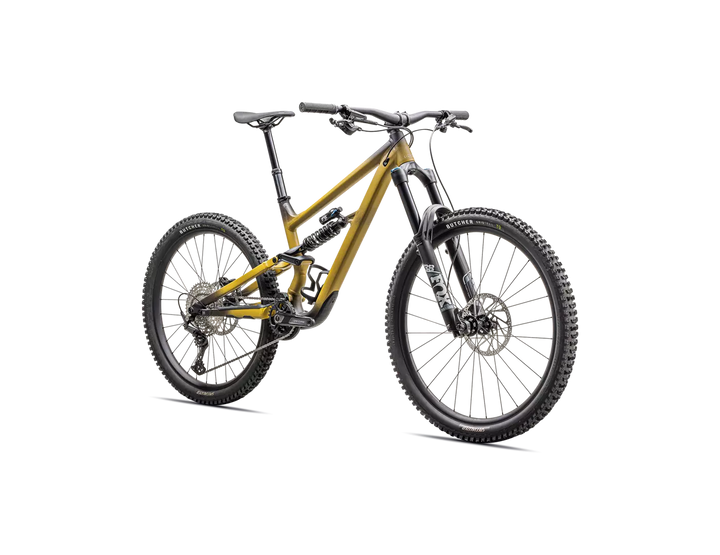 2024 Specialized Status 2 170