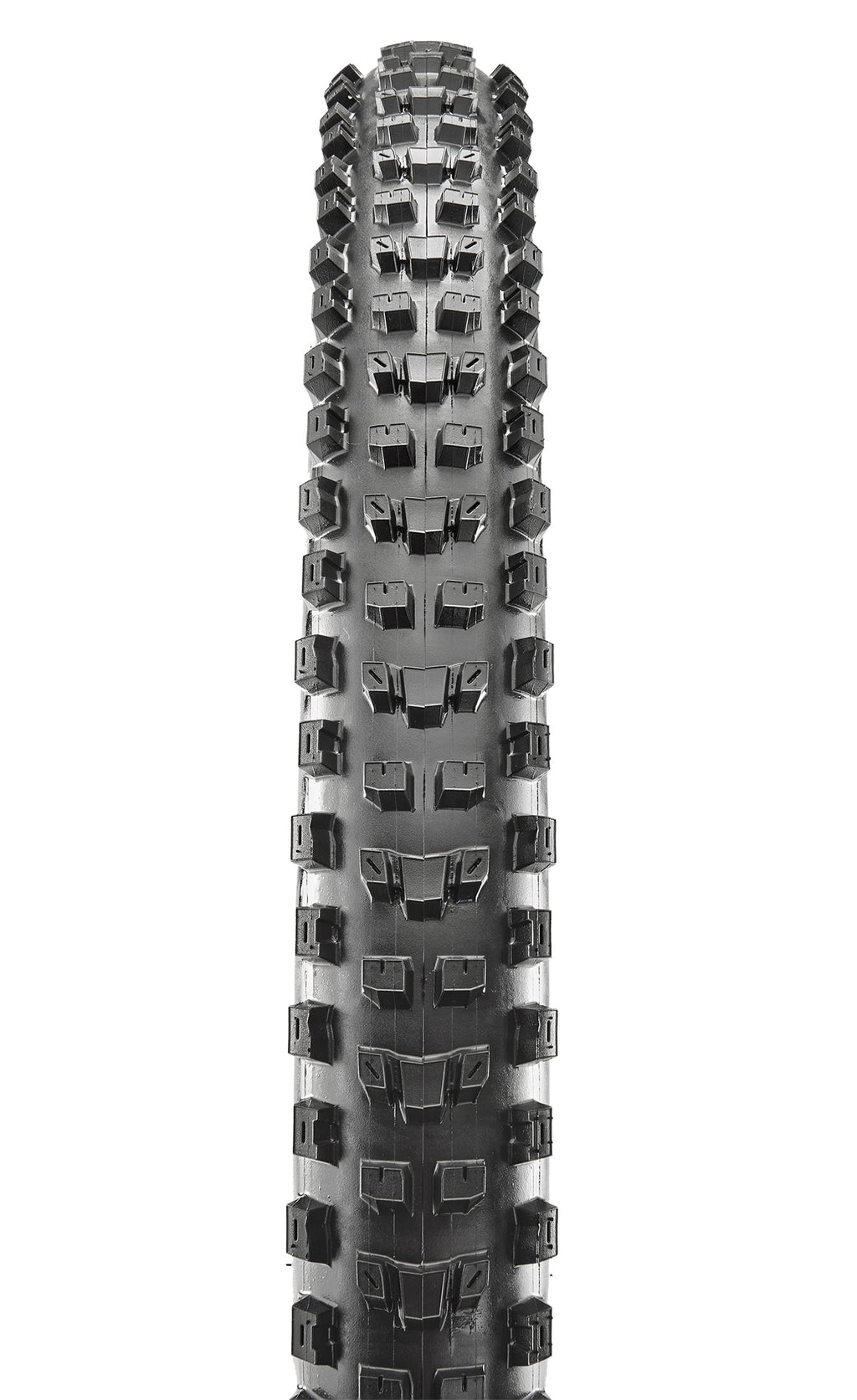 Maxxis Dissector 29 x 2.4WT 3C Terra EXO+ TR