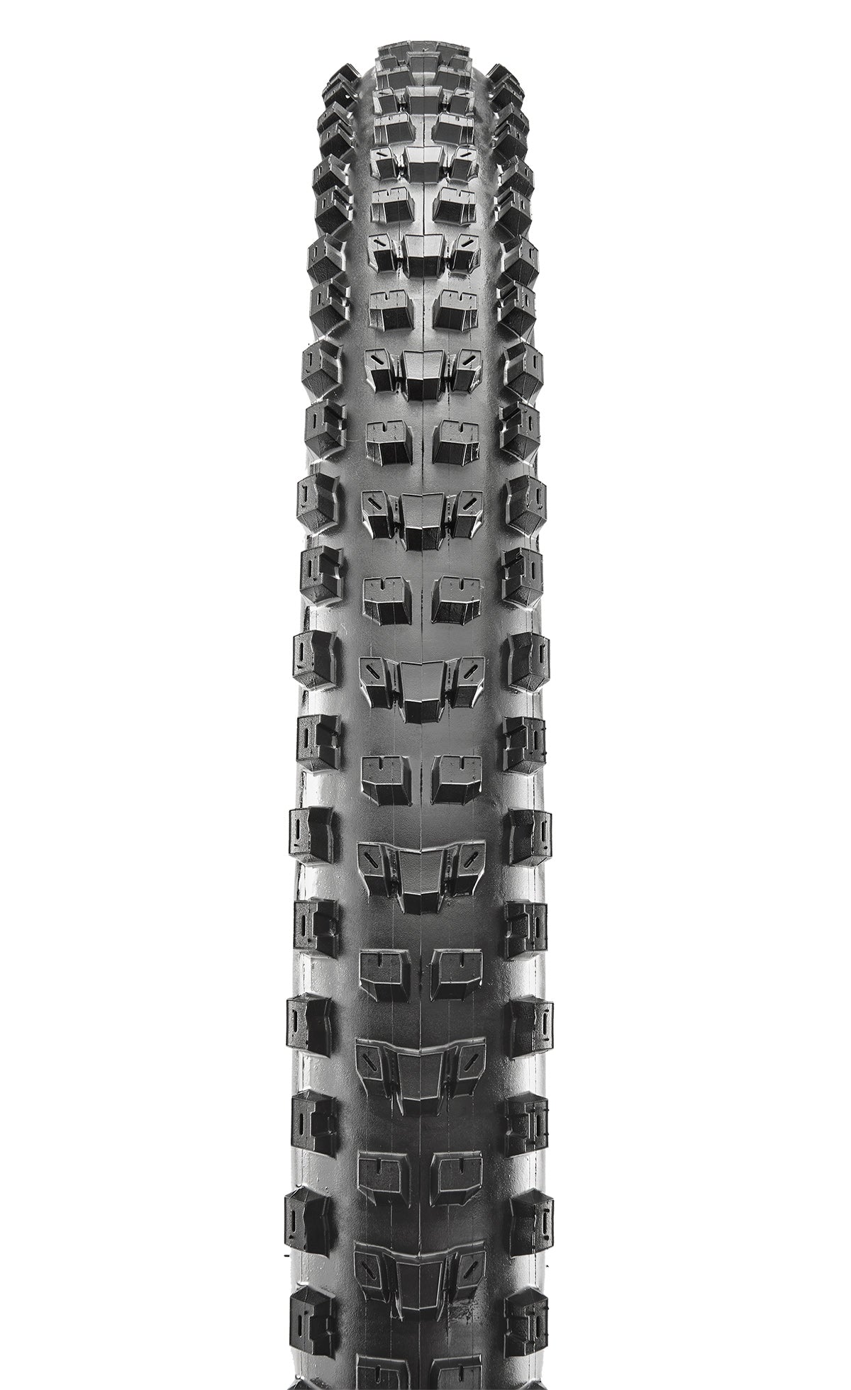 Maxxis Dissector 29 x 2.4WT 3C Terra EXO+ TR